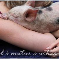 Matar ou pagar pra matarem pra você... dá no mesmo.