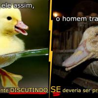 FOIE GRAS, o patê do inferno.
