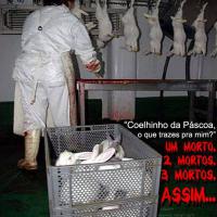 Mas não perdoam nem o  